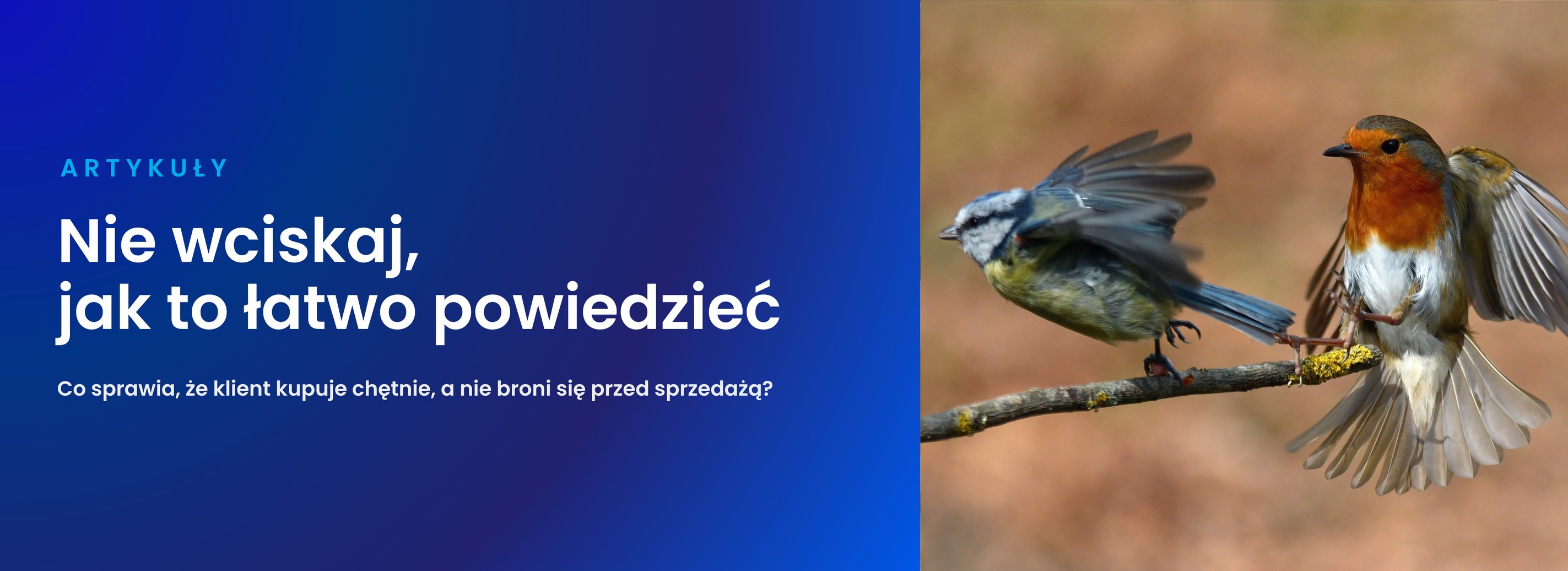 Nie wciskaj jak to łatwo powiedzieć 